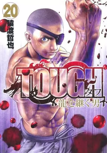 Tough Gaiden – The Man Who Succeeds the Dragon Manga Online Free, Manga Online