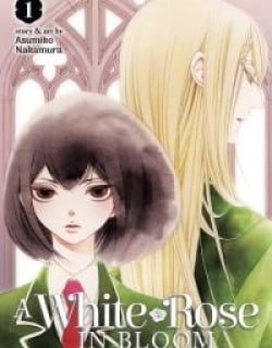 A White Rose in Bloom Manga Online