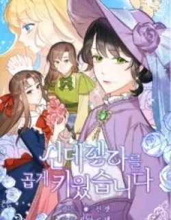 A Wicked Tale of Cinderella’s Stepmom Manga Online Free, Manga Online