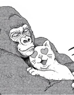 An Extremely Attractive Gorilla Manga Online