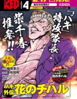 Baki Gaiden: Hana No Chiharu Manga Online