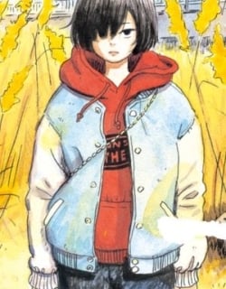 Nora To Zassou Manga Online Free, Manga Online