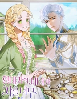 The Crown Prince’s Maid Makes Tea Very Well Manga Online